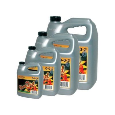 BLOOM FUEL – 4 LT.