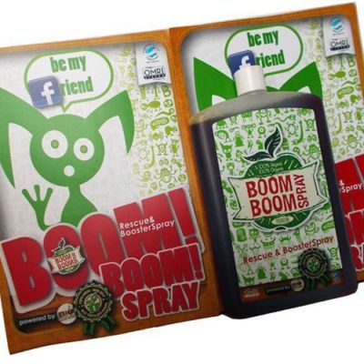 BOOMBOOMSPRAY 250