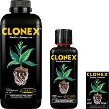 CLONEX