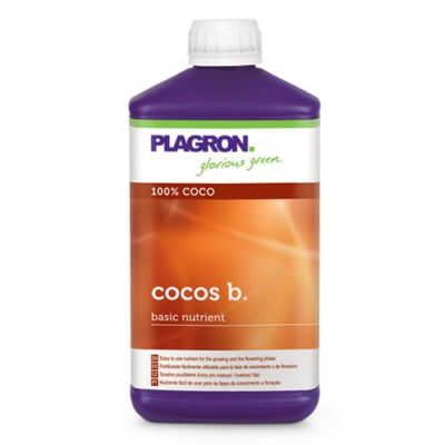 COCOS B – 5L PLAGRON