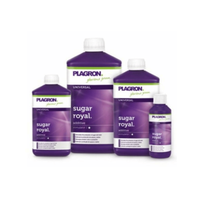 SUGAR ROYAL 5 L PLAGRON