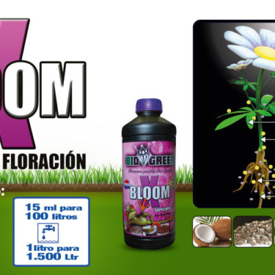 X BLOOM