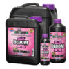 X BLOOM