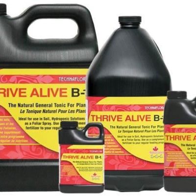 THRIVE ALIVE B1 RED