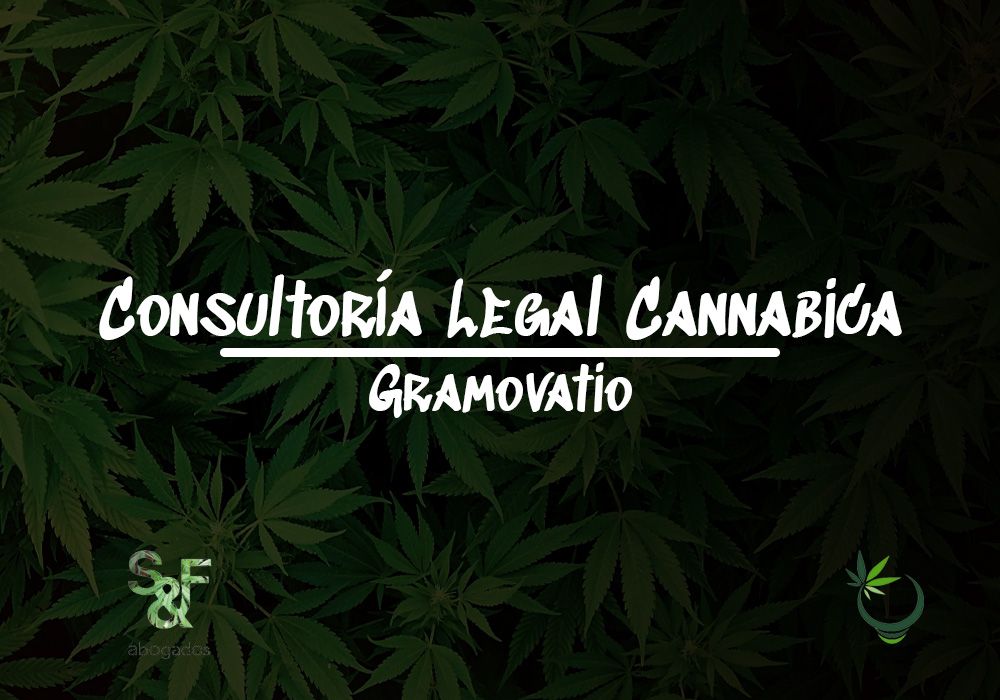 consultoria legal cannabica