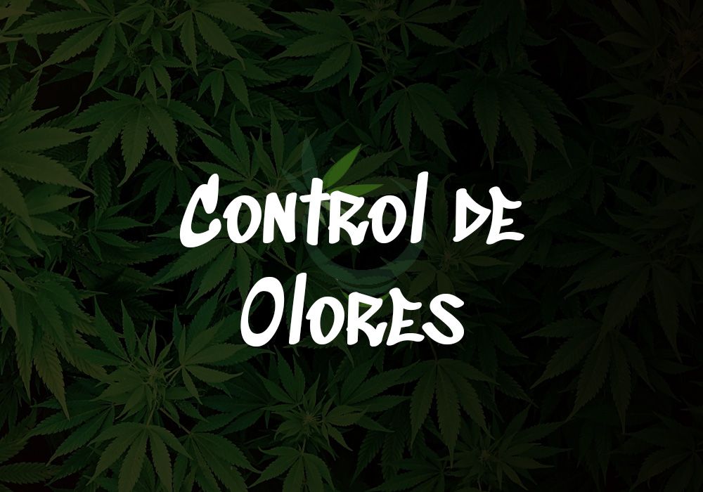 Tratamiento de Olores