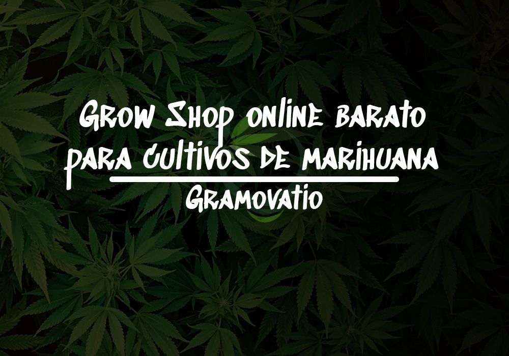 grow shop online barato