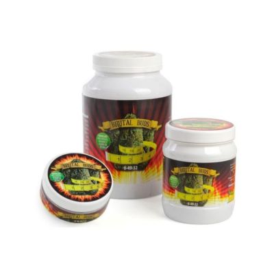 BRUTAL BUDS – ESTIMULADOR