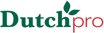 Dutch Pro