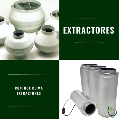 Extractores