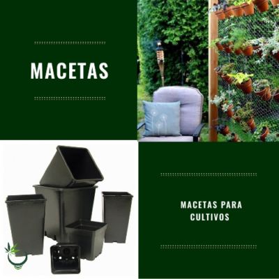 Macetas
