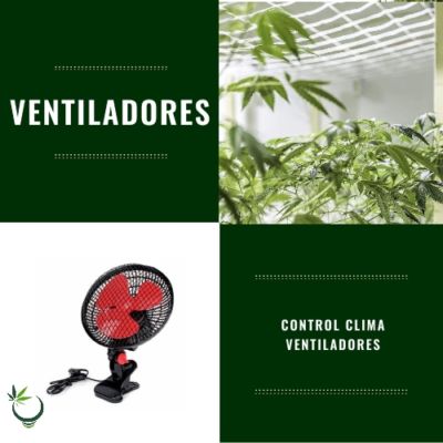 Ventiladores